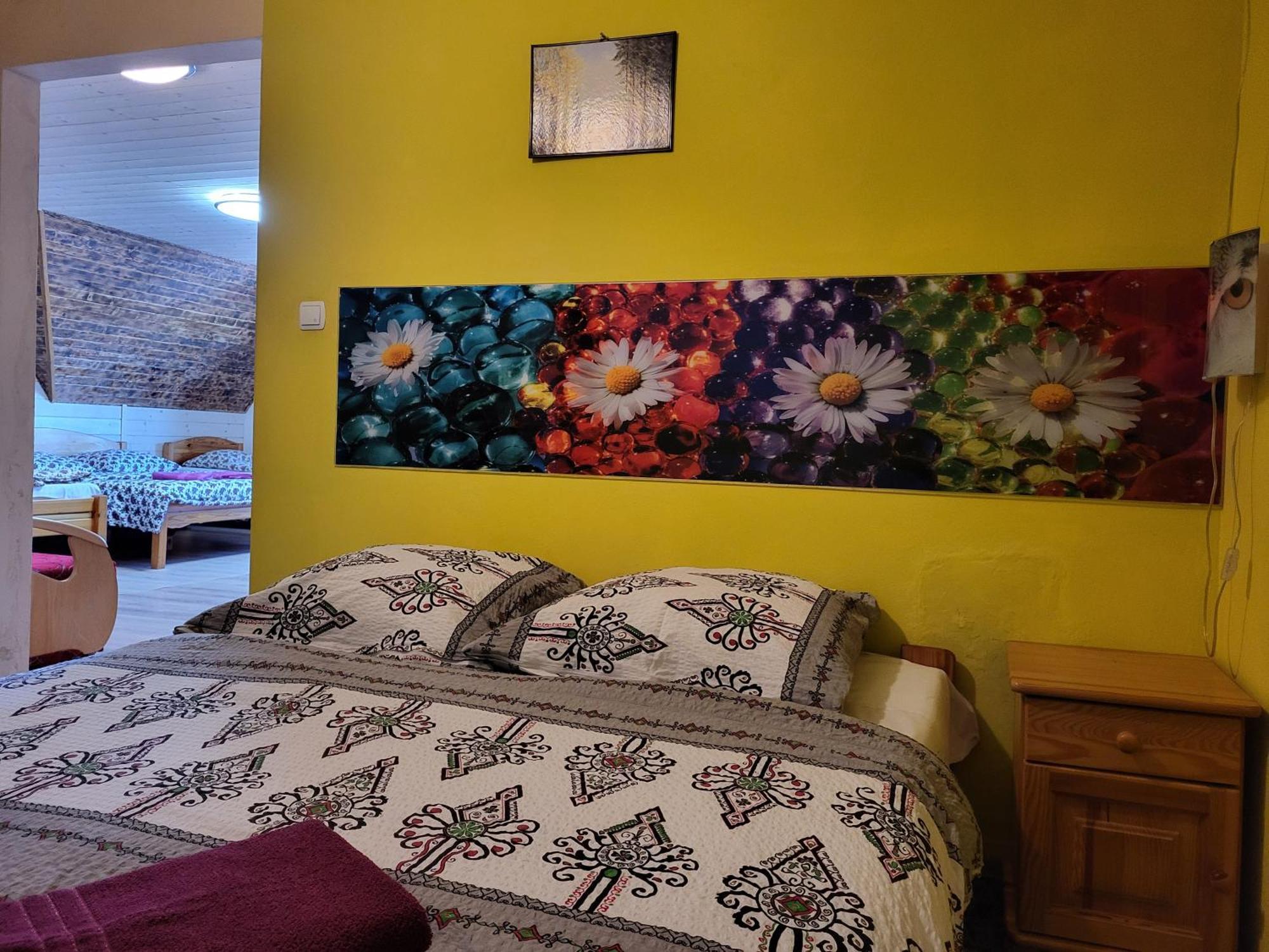 Apartamenty I Pokoje Goscinne Nowita Закопане Экстерьер фото
